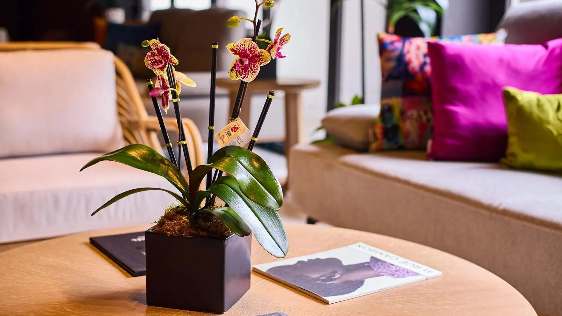 Ola Boutique Hotel San Juan